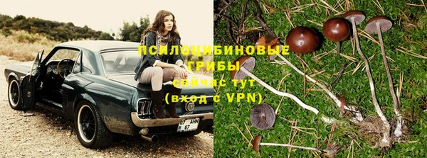 мет Козловка