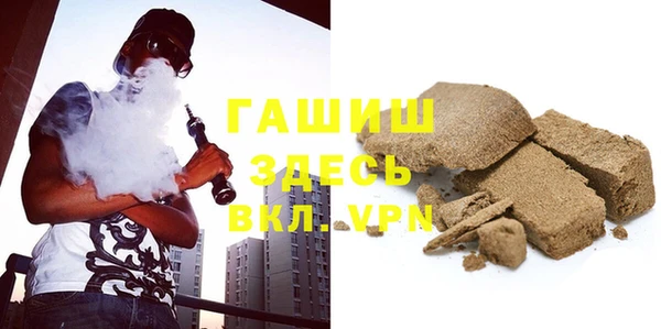 индика Козельск