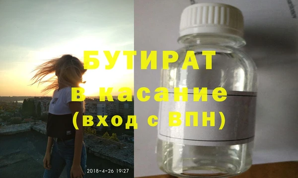 индика Козельск