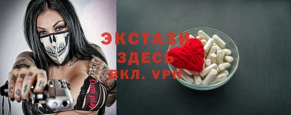 индика Козельск