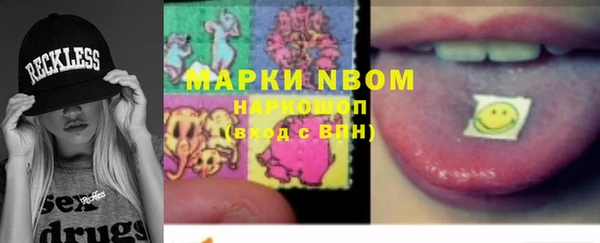 индика Козельск