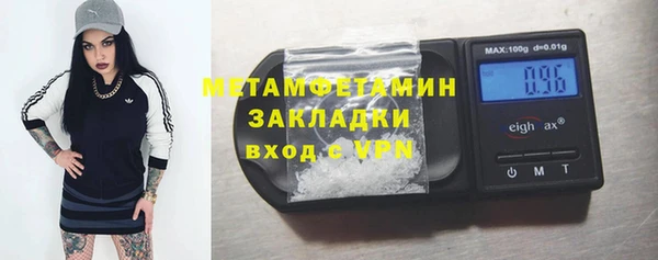индика Козельск