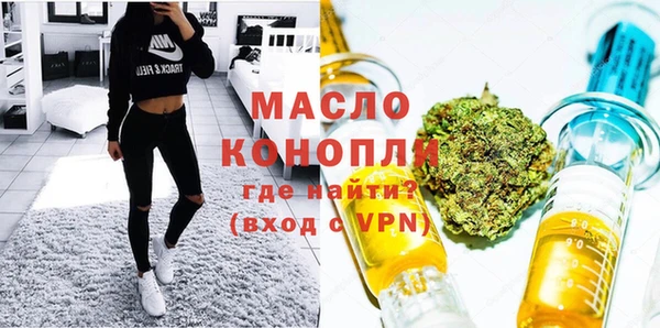 индика Козельск