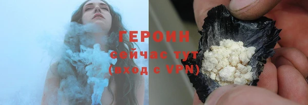 индика Козельск