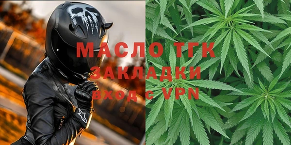 индика Козельск