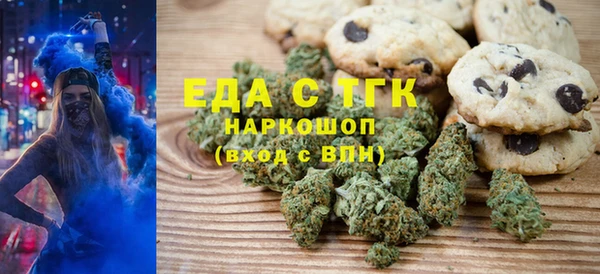 индика Козельск