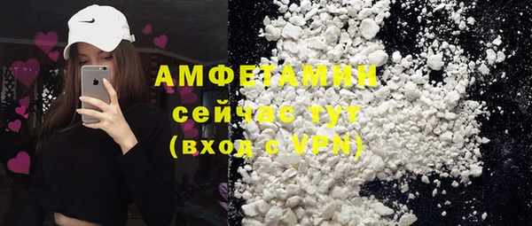 индика Козельск