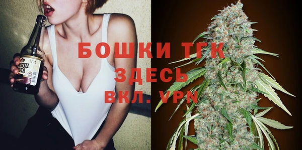 индика Козельск