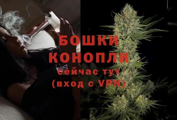 индика Козельск