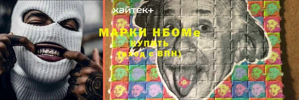 индика Козельск