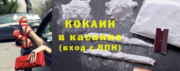 индика Козельск