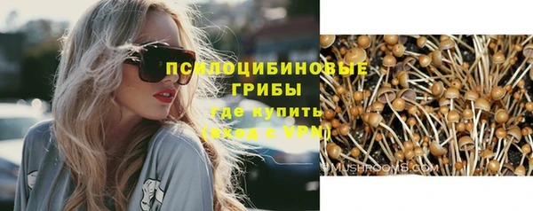 индика Козельск