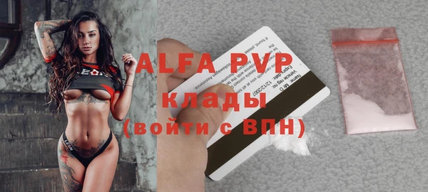 индика Козельск