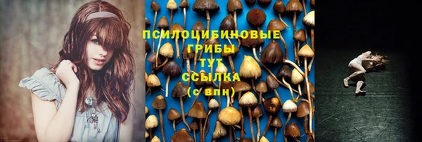 бутират Кодинск