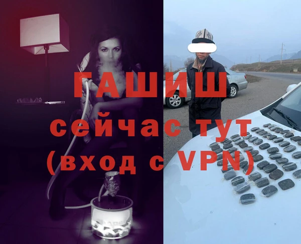 индика Козельск