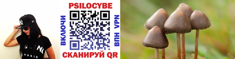 Купить где  Саров  Псилоцибиновые грибы ЛСД 